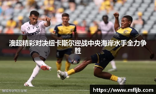 zoty中欧