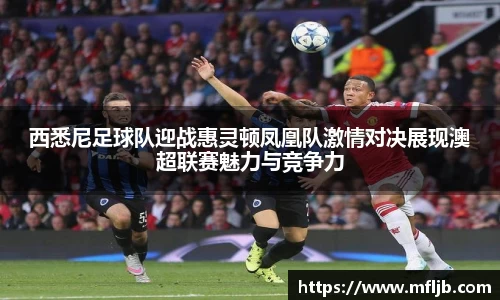 zoty中欧